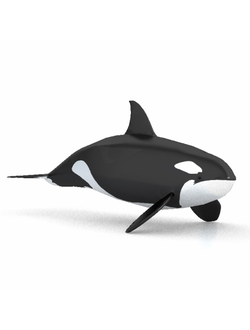 рыбы Касатка