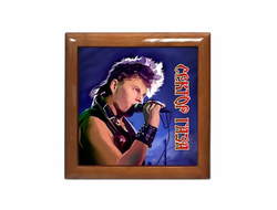 Шкатулка Сектор Газа, Юрий Хой №11