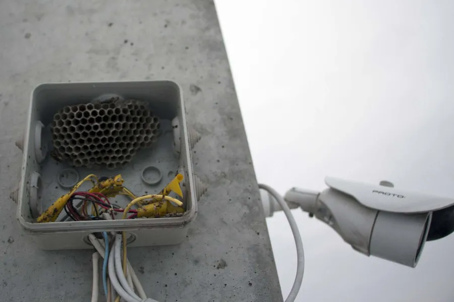 Не бывает не обжитых территорий.