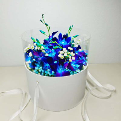 Букет голубой орхидеи с гипсофилой и бабочкой "Звездное небо" № 20