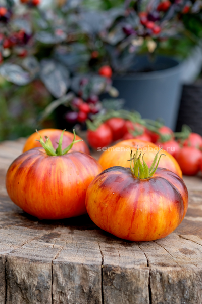 Томат Strangelove (Странная Любовь), 10 шт