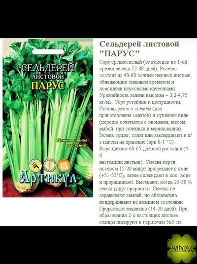 СЕЛЬДЕРЕЙ ЧЕРЕШКОВЫЙ И ЛИСТОВОЙ "ПАРУС"