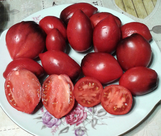 Семена томата Паскаль из Пикардии