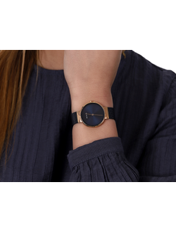 Наручные часы Bering 14531-367