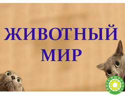 Животный мир