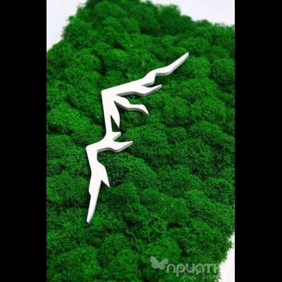 ЖИВАЯ ЭКО-КАРТИНА 1037