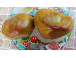 Томат Сердце Марши (Marsha's Starfighter Heart)