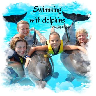 Dolphinarium - swimming with dolphins