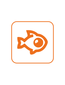 Модуль развертки FishEye Модуль предназначен для программной развёртки изображений, получаемых с панорамных камер (FishEye)