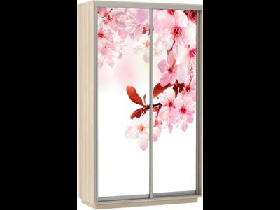 ШКАФ-КУПЕ 2-Х ДВЕРНЫЙ  Е 1 дуо фотопечать 1.2/1.4/1.6 М