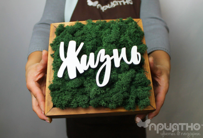 ЖИВАЯ ЭКО-КАРТИНА 1059