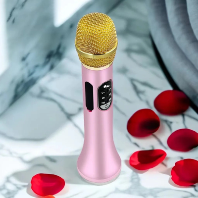 Профессиональный караоке-микрофон  L-1288DSP  40w