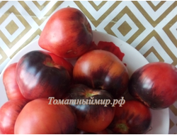 Томат Сержант Пеппер (Sgt Peppers ), США