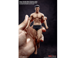 Супер-подвижное бесшовное тело 1/12 scale Super Flexible Male Seamless Body PH2019-TM01A TBLeague