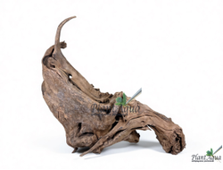 SwetAqua Chinese Sunken EXCLUSIVE 8035 (500x150x330 мм) - Натуральная коряга "Китайская затонувшая" EXCLUSIVE