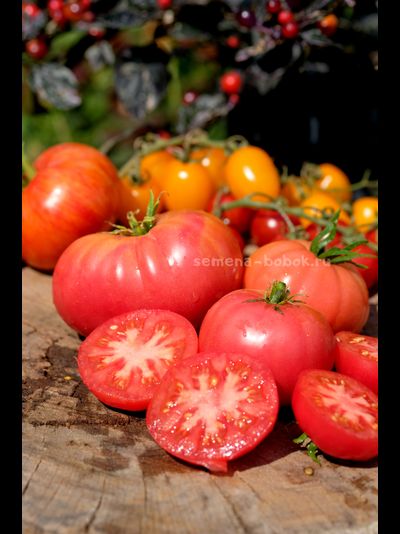 Томат Брендивайн Розовый (Brendywine Pink), 10 шт