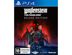 игра для PS4 Wolfenstein: Youngblood