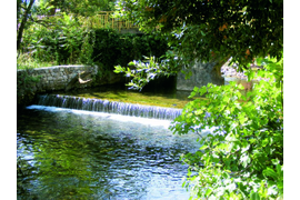 Окрестности Дубровника- деревня Чилипи (посещение фольклорной  ярмарки по воскресеньям) Транспорт-комфортабельный автомобиль.(1-4 человек)