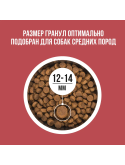 BOWL WOW (Боул Вау) корм сухой для собак средних пород Индейка, Курица, Рис, Свекла, 2 кг