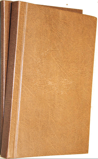 Слово. Год второй. № 2 – 3 (Февраль-Март) за 1879 год. Научный, литературный и политический журнал.  СПб.: Типография, В.Демакова, 1879.