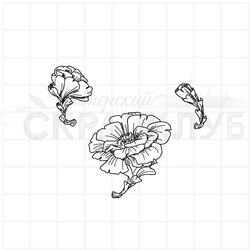 Штамп цветок кактуса