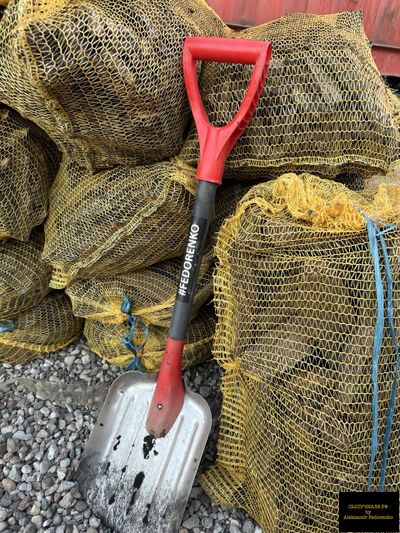 кора хвойная