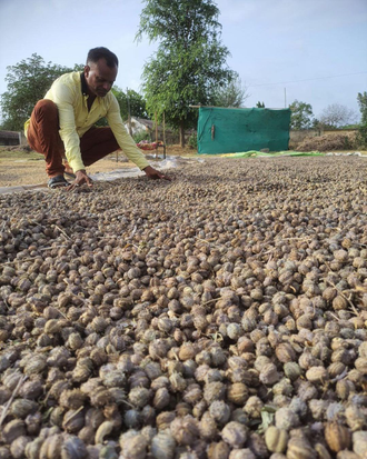 Касторовое масло пищевое нераф. 50 мл