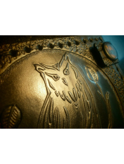 Мудрая сова