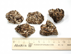 Астрофиллит в ассортименте, Кольский п-ов, Хибины (35-40 мм, 17-22 г) №26903