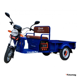 Грузовой электротрицикл TaiLG TL650