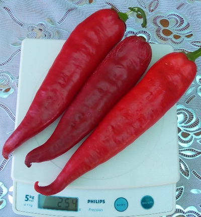 Перец острый Теща моя