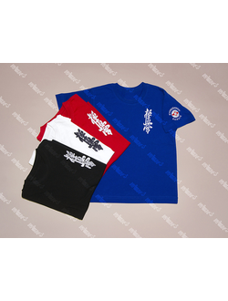 APIKA Футболка с вышивкой символики карате