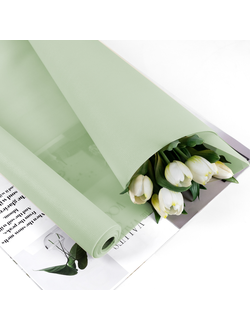 Пленка латексная "Зефирное облако" 58см*5м Бледно-салатовый ПР32/4