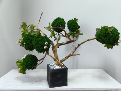 Живая эко-композиция 1006