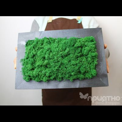 ЖИВАЯ ЭКО-КАРТИНА 1050