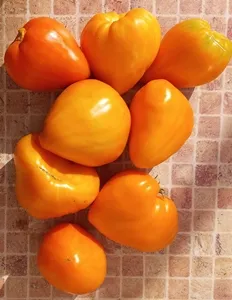 Желтый клюв