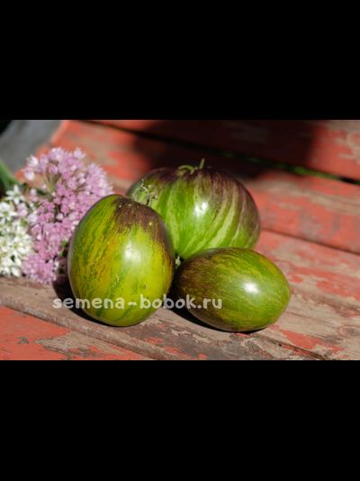 Томат Звездный истребитель VT16, 10 шт