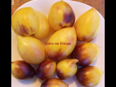 Томат Блюз на блюде (Blues on a Platter)