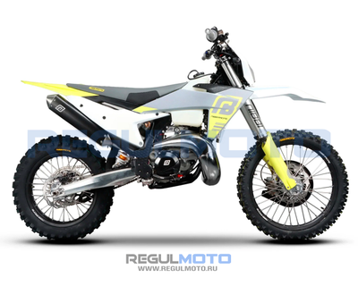 Regulmoto NIBBI TE N300-SR 2T
