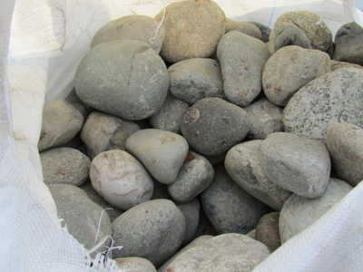 Голыш Кавказ