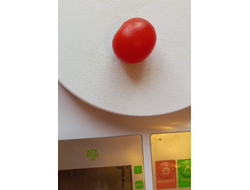 Томат Принц Баяя (Prince Bajaja)