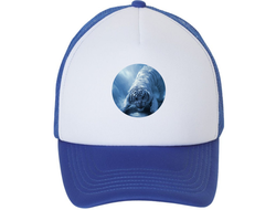 Кепка год Тигра №3