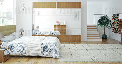 Шкаф-купе Милана 039