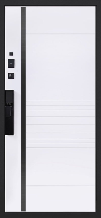 Стальная дверь   Аша 3Д (биометрический замок). Заказная модель.