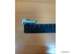 Болт М8*1,25*20 под внутренний шестигранник (цена за 20 шт.)