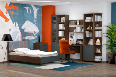 Композиция детской ГРЕЙС корпус Гикори Джексон Темный/фасад Антрацит Матовый