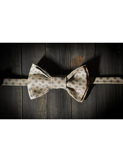 Галстук-бабочка в горошек в интернет магазине Bagcom