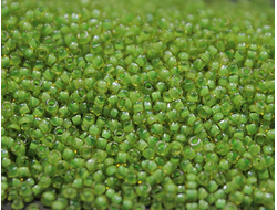 Toho 15 0945 Inside-Color Jonquil/Mint Julep-Lined / Окрашенный изнутри нарцисс/мятный сироп