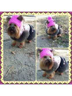 Ботинки для собаки DOG рыжие