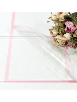 Пленка глянцевая с цветной каймой 57*57см 20шт Розовый ПЛ33/12